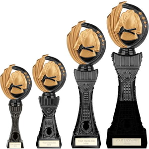 Renegade Heavyweight Martial Arts Award