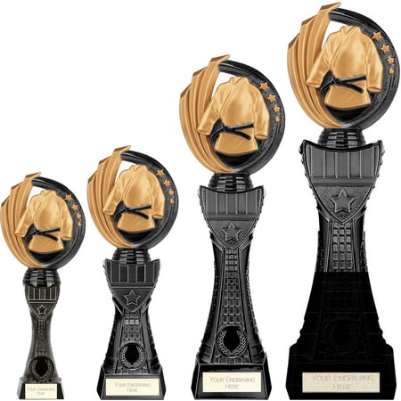 Renegade Heavyweight Martial Arts Award