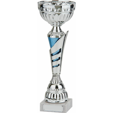 Vanquish Silver & Blue Cup