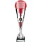 Eclectic Trophy Silver & Red