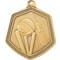Falcon Cricket Medal