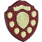 Mountbatten Annual Shield Rosewood & 21yr