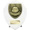 Cobra Shield Most Improved Player Award Arctic