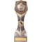 Falcon Football Manager Thank You Award
