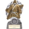 The Stars Martial Arts Plaque Award Silver & Gold