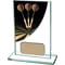 Colour Curve Darts Glass Award