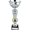 Energy Trophy Silver & Gold 295mm