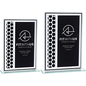Titanium Mirrored Glass Award