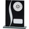 Spirit Multisport Mirror Glass Award Black & Silver