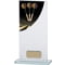 Colour Curve Darts Glass Award