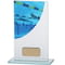 Colour Curve Swimming Glass Award