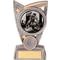 Triumph MMA Award