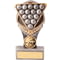 Falcon Pool/Snooker Award