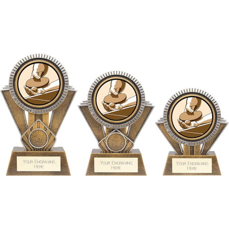 Apex Table Tennis Award Gold & Silver