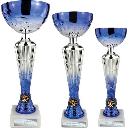 Hyper Trophy Blue & Silver 295mm