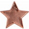 Scholar Pin Badge Star