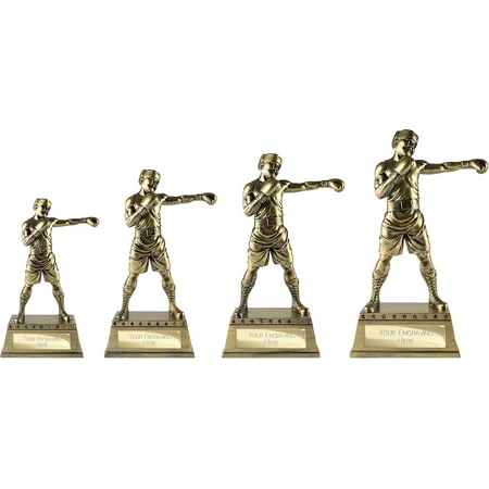 The Classic Boxing Award Metallic Antique Gold 270mm