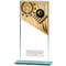 Mustang Pool Glass Award
