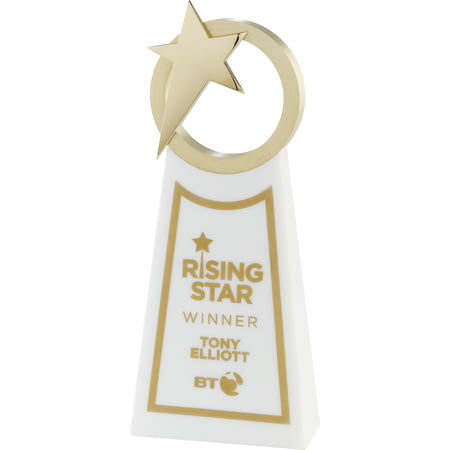 Rising Star Award Gold & White 260mm