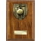 Cobra Plaque Cricket Award Walnut