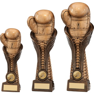 Gauntlet Boxing Award