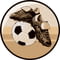 Football Boot & Ball Centre Gold 25mm