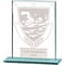 Millennium Swimming Glass Award