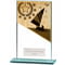 Mustang Sailing Glass Award