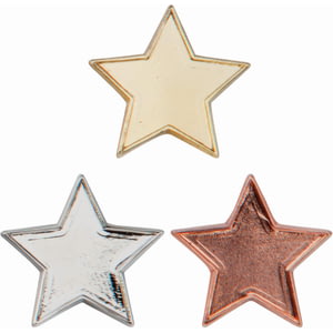 Scholar Pin Badge Star