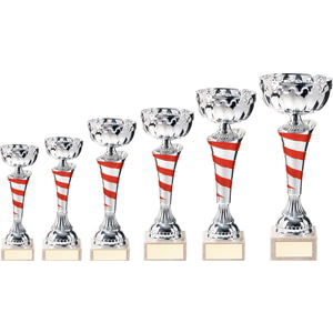 Eternity Cup Silver & Red