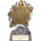 The Stars Darts Plaque Award Silver & Gold