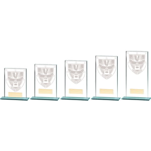 Millennium Achievement Glass Award
