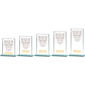 Millennium Achievement Glass Award