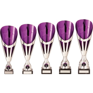 Rising Stars Deluxe Plastic Lazer Cup Silver & Purple