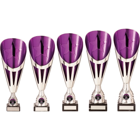 Rising Stars Deluxe Plastic Lazer Cup Silver & Purple