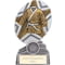 The Stars Martial Arts Plaque Award Silver & Gold