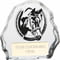 Mystique Equestrian Glass Award