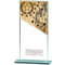 Mustang Music Glass Award