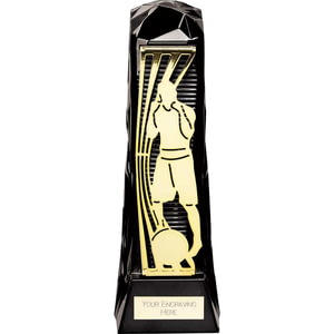 Shard Boxing Award Black & Gold 230mm