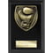 Cobra Plaque Boxing Award Epic