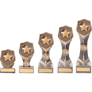 Falcon Achievement Well Done Award