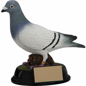 Elite Pigeon Racing Award 145mm