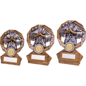 Enigma Martial Arts Award
