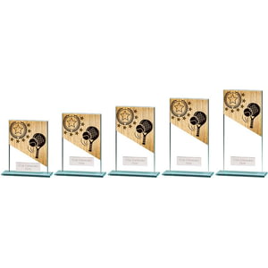 Mustang Padel Glass Award
