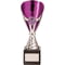 Rising Stars Premium Plastic Trophy Silver & Purple