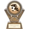 Apex Football Award Gold & Silver