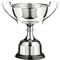 Chesterwood Nickel Plated Cup
