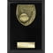 Cobra Plaque Netball Award Epic