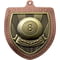 Cobra Pool Shield Medal