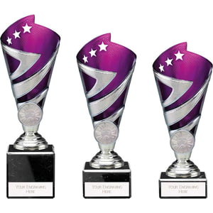 Hurricane Multisport Plastic Cup Silver & Purple